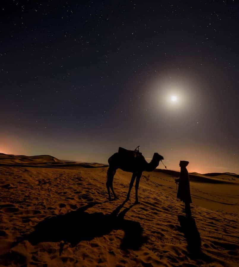 Doha Night Desert Safari Stargazing And Camel Ride - What the $24 price really gives you