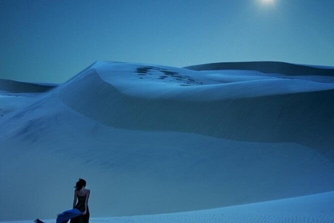 Doha Night Desert Safari Stargazing Dune Drive Camel Ride - Is $65 good value?