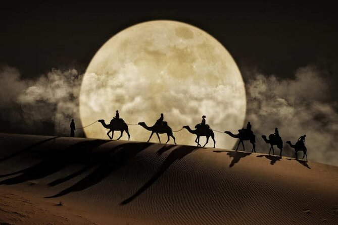 Doha Night Desert Safari Stargazing Dune Drive Camel Ride - Sealine Beach, where sand reaches the water