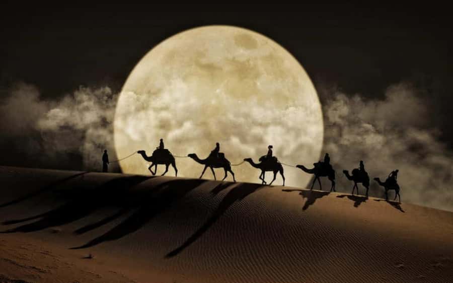 Doha: Night Desert Safari, Stargazing, Dune Driving &Inland - Mesaieed tea, camels, and a short camp stop