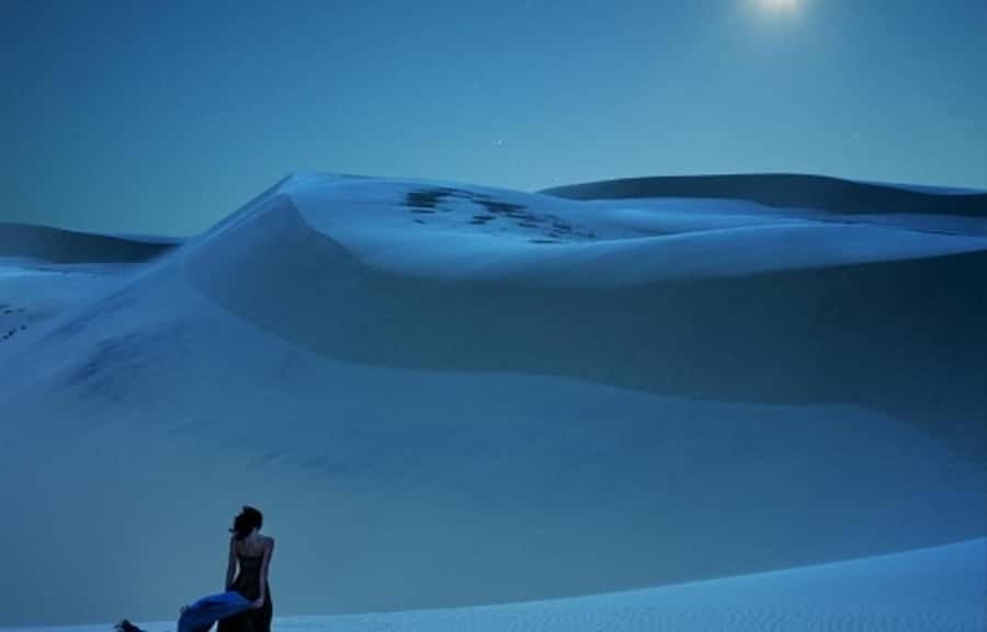 Doha: Night Desert Safari, Stargazing, Dune Driving &Inland - Final photo stop, then 70 minutes back to Doha