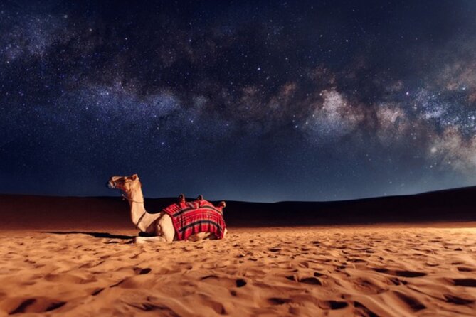Doha Night Desert Safari, Stargazing, Photography، Relaxation - The Inland Sea view, where dunes meet water