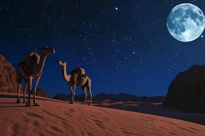 Doha Night Desert Safari, Stargazing, Photography، Relaxation - Stargazing away from Doha’s city lights