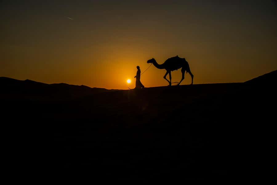 Doha: Night Desert Safari With Stargazing and Inland Sea - Leaving Doha for Sealine