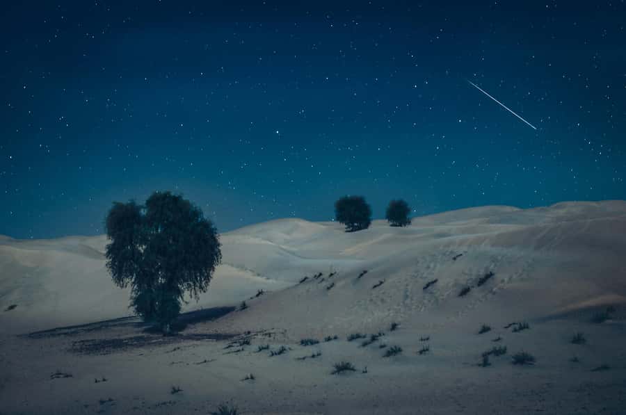 Doha: Night Desert Safari With Stargazing and Inland Sea - Is $61 a fair price?