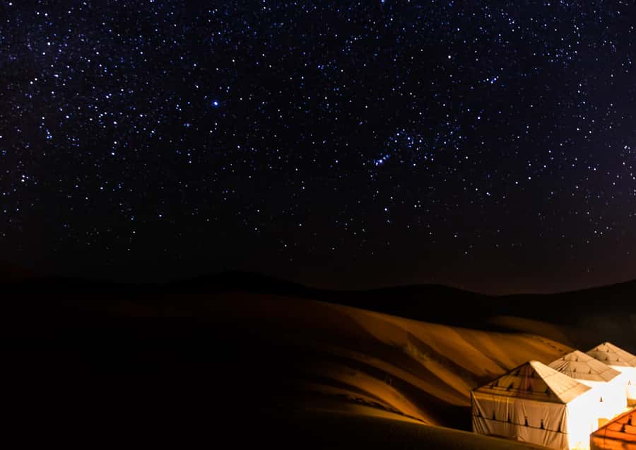 Doha: Night Desert Safari with Stargazing & Camel Ride - What the $40 price really covers