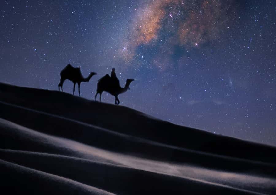 Doha: Night Desert Safari with Stargazing & Camel Ride - Choosing shared or private transport