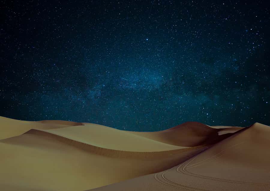 Doha: Night Desert Safari with Stargazing & Camel Ride - Who will enjoy this night safari