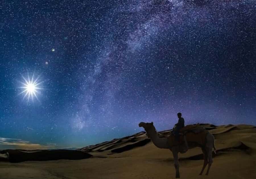 Doha: Night Desert Safari with Stargazing & Camel Ride - The camel camp and Arabic tea