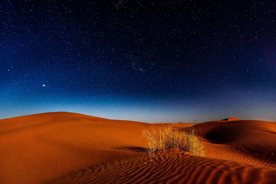 Doha: Private Desert Safari at Night with Stargazing - Key points to know before you book