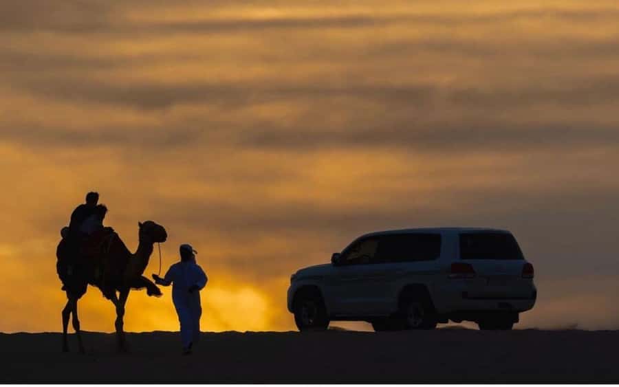 Doha: Stargazing Desert Safari w/ Dune Bashing & Camel Ride - Why this night safari works so well