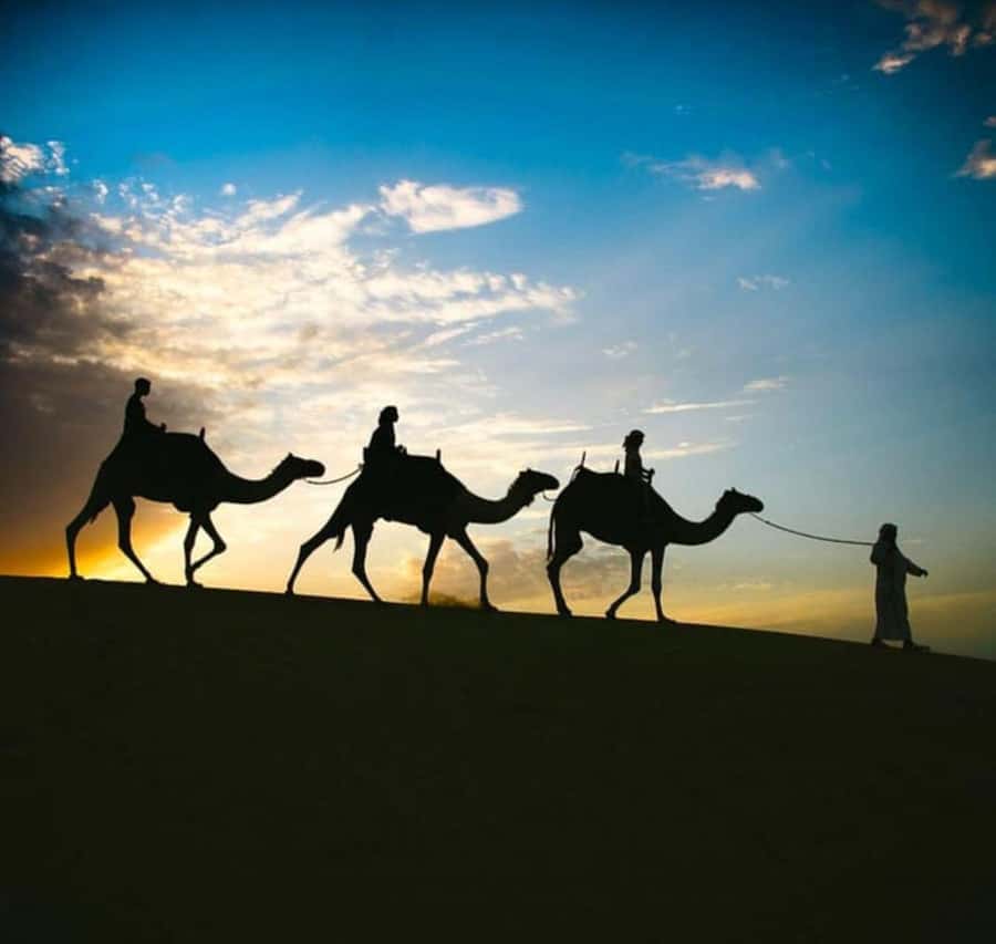 Doha: Stargazing Desert Safari w/ Dune Bashing & Camel Ride - Sealine sets up the desert evening