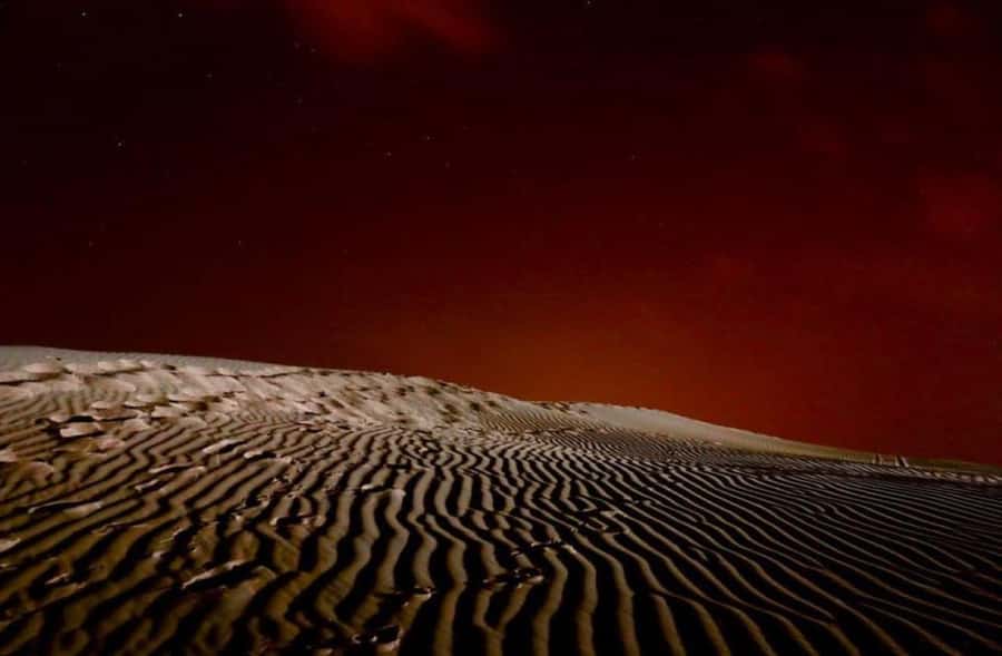 Doha: Stargazing Desert Safari w/ Dune Bashing & Camel Ride - Tea, quiet, and the end of the evening