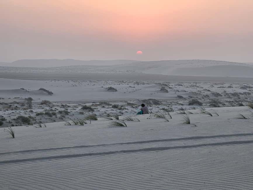 Doha Sunrise/Sunset or Night Stargazing desert safari. - Who will enjoy this four-hour format?