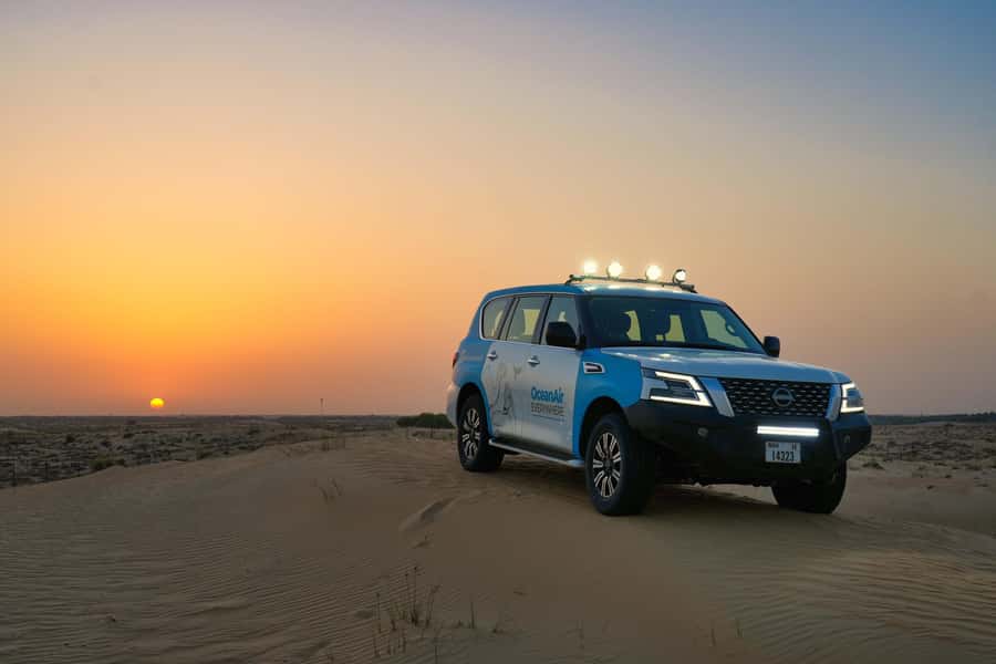 Dubai: Evening Desert Safari with Camel Ride & Stargazing - Tea, dates, falcons, and horses at Al Marmoom Oasis