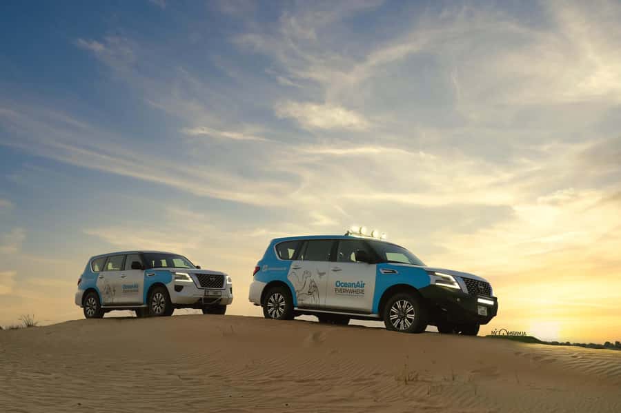 Dubai: Evening Desert Safari with Camel Ride & Stargazing - A moonlit wildlife walk through the oasis