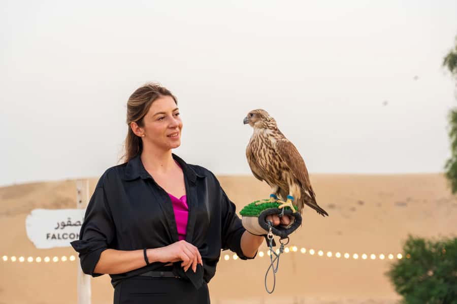 Dubai: Evening Desert Safari with Camel Ride & Stargazing - Practical advice for a smoother evening