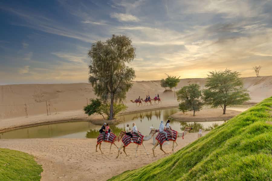 Dubai: Overnight Safari with Luxury Dome Stay & Stargazing - Key points at a glance