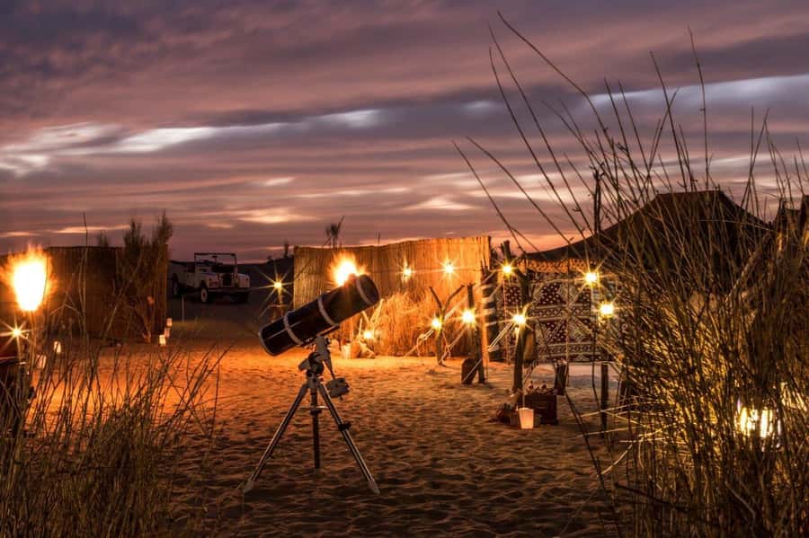 Dubai: Private Night Safari & Astronomy with 3-Course Dinner - Searching for scorpions by UV light