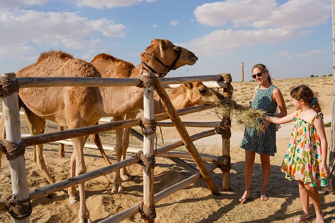 Dubai: Sunset Camel Trek, Al Khayma Camp, Stargazing & BBQ - Stargazing after the lights go out