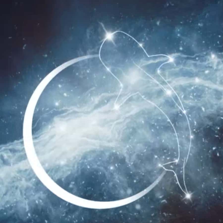 Esperance: Astronomy Night Experience - Key points to know before booking