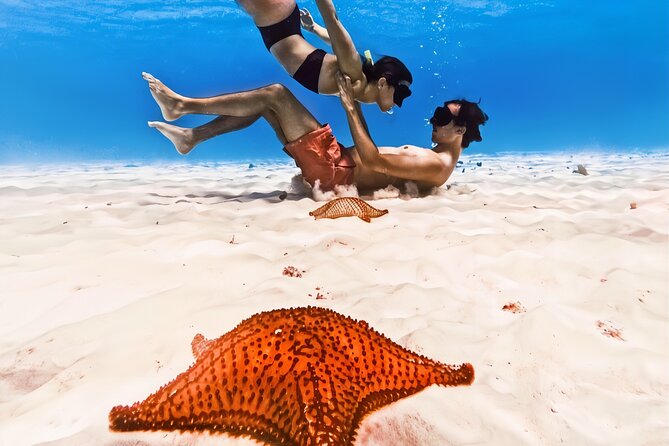 Exploration to El Cielo and Reefs: Live up close with stars - Starting at the Cozumel meeting point