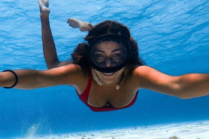 Exploration to El Cielo and Reefs: Live up close with stars - Palancar Reef and the chance to see turtles