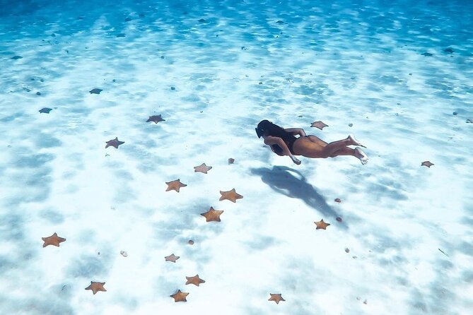 Exploration to El Cielo and Reefs: Live up close with stars - El Cielito Beach and shallow turquoise water