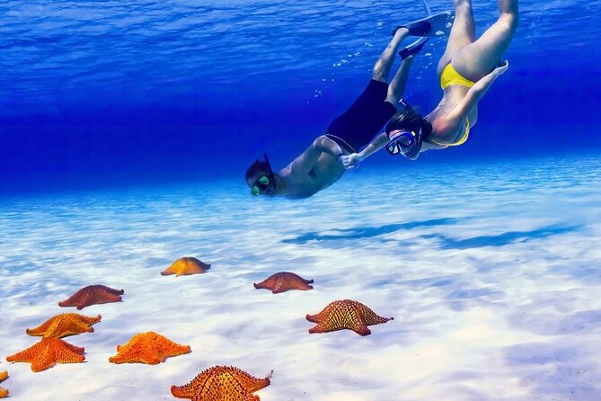 Exploration to El Cielo and Reefs: Live up close with stars - Columbia Reef: the first long water stop