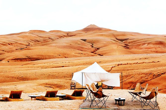From Marrakech: Magical Dinner In Agafay Desert Under the Stars - Is $81.04 a Fair Price?