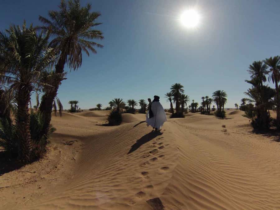 From Marrakech: Private Chegaga Desert Star Gazing 4WD Tour - Day two: The Draa Valley and Tamnougalt