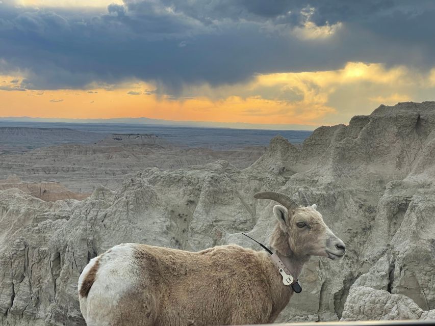 From Rapid City: Badlands Sunset and Night Sky Adventure - Four overlooks, four different views