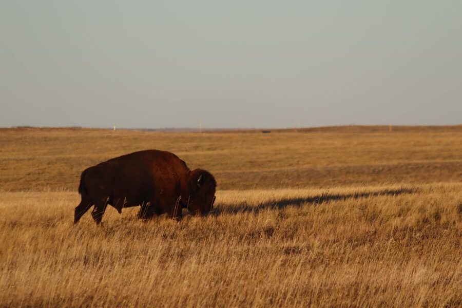 From Rapid City: Badlands Sunset and Night Sky Adventure - Who will enjoy this most