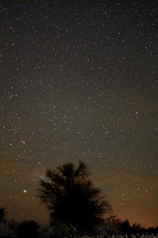 From San Pedro de Atacama: Astronomy Tour - Who will enjoy this astronomy tour most?