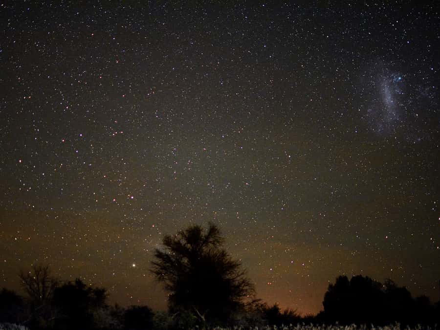 From San Pedro de Atacama: Astronomy Tour - Meeting at Caracoles 238B at 19:30