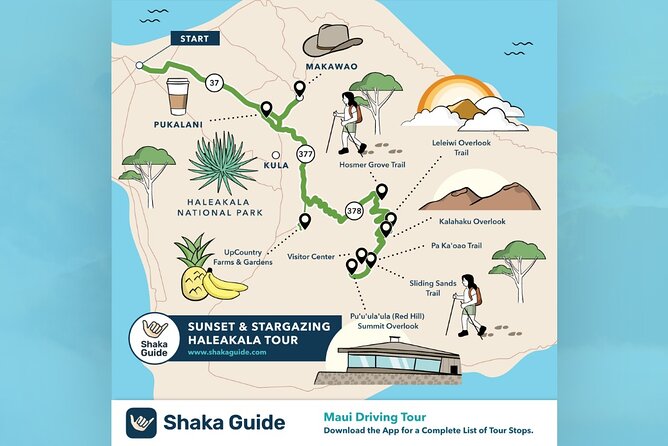 Haleakala Sunset and Stargazing Audio Tour - Hosmer’s Grove changes the scenery at 6,800 feet