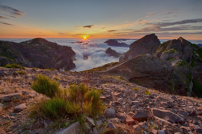 Heavens Tour: Sunset & Stargazing in Madeira - Is $414.02 a fair price for four people?