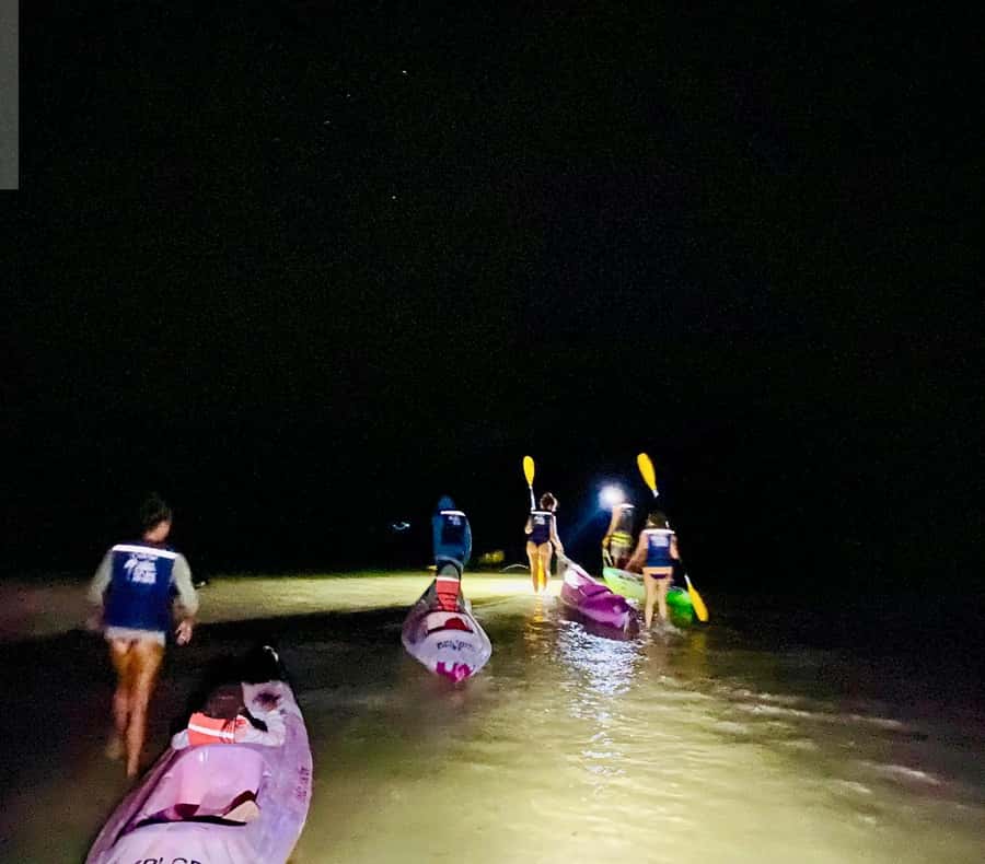 Holbox: Bioluminescence by Kayak and Stargazing. - A short night trip built around glowing water
