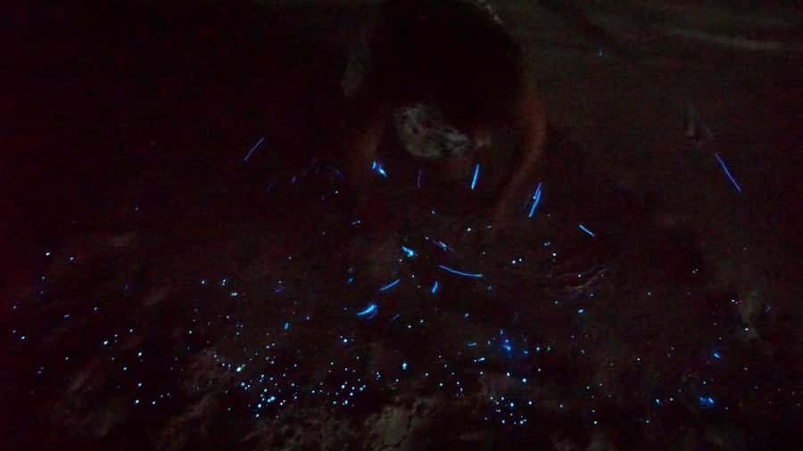 Holbox: Bioluminescence by Kayak and Stargazing. - How the guide affects the experience