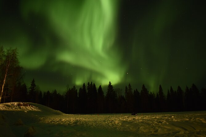 Horse Sleigh Ride Under The Night Sky in Apukka Resort, Rovaniemi - Why a night sleigh ride feels different in Rovaniemi