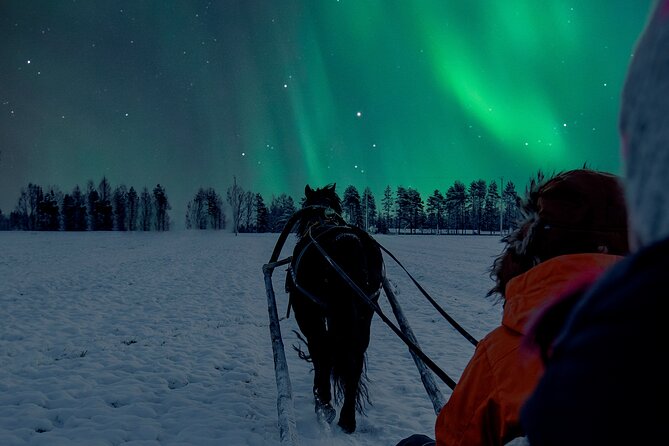 Horse Sleigh Ride Under The Night Sky in Apukka Resort, Rovaniemi - Firelight and stories at the forest edge