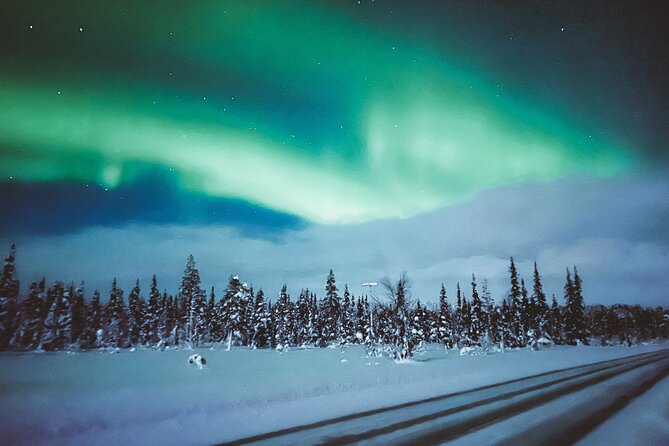 Horse Sleigh Ride Under The Night Sky in Apukka Resort, Rovaniemi - What the $184.06 price includes