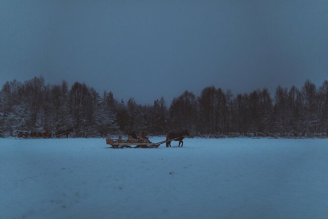 Horse Sleigh Ride Under The Night Sky in Apukka Resort, Rovaniemi - How cold is the ride?
