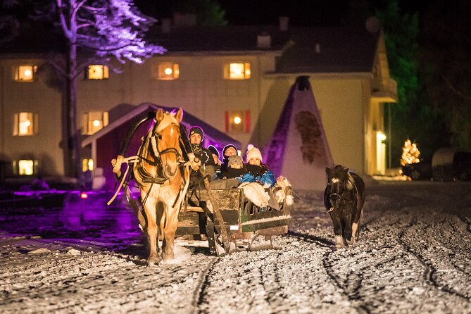 Horse Sleigh Ride Under The Night Sky in Apukka Resort, Rovaniemi - Who will enjoy this most?