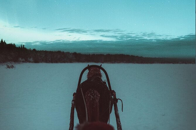 Horse Sleigh Ride Under The Night Sky in Apukka Resort, Rovaniemi - Meeting at Apukka Resort at 8:30 pm