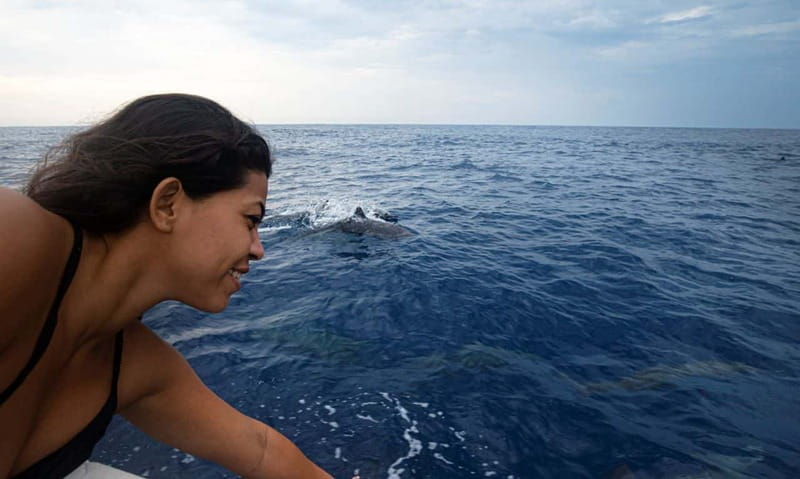 Huatulco: Awakening with Stars Dolphins Boat Cruise - Timing and cancellation flexibility