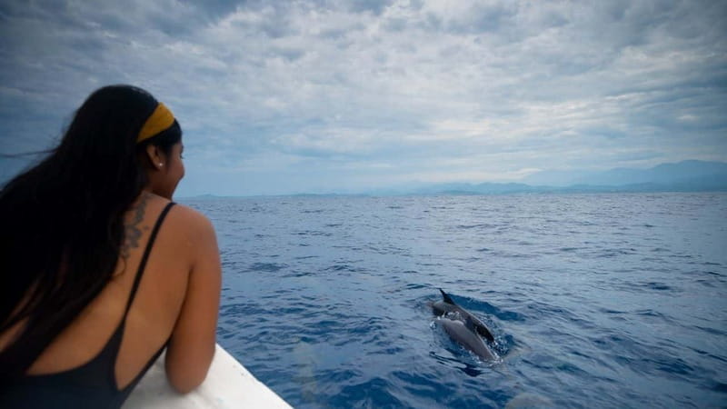 Huatulco: Awakening with Stars Dolphins Boat Cruise - Why a 6:00 AM departure is worth the alarm