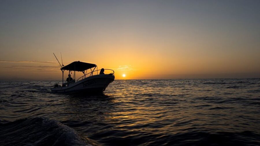 Huatulco: Awakening with Stars Dolphins Boat Cruise - Who will enjoy this boat ride most