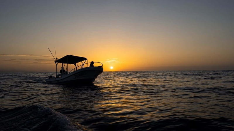 Huatulco: Awakening with Stars Dolphins Boat Cruise - What to bring for a smoother morning