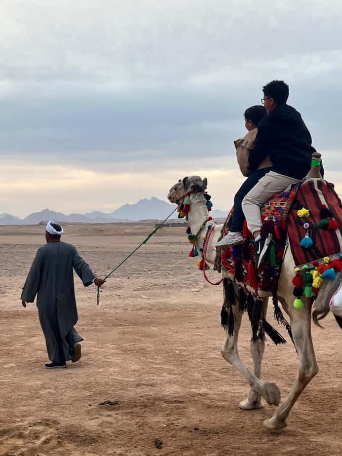 Hurghada: BADU Camp Camel Ride, Dinner, & Stargazing - From Hurghada to a Desert Sunset
